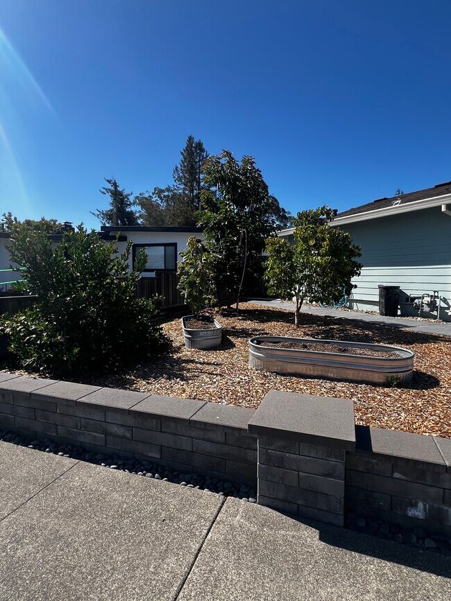 Building Photo - Remodeled Single Story 3 Bedroom/2 Bathroo...