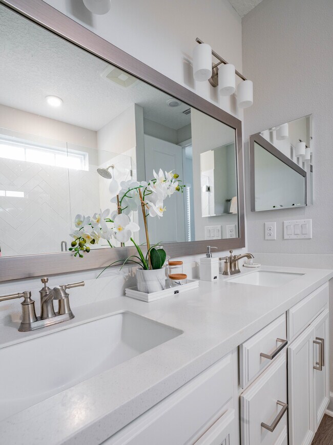 Building Photo - 11467 Leatherback Ct