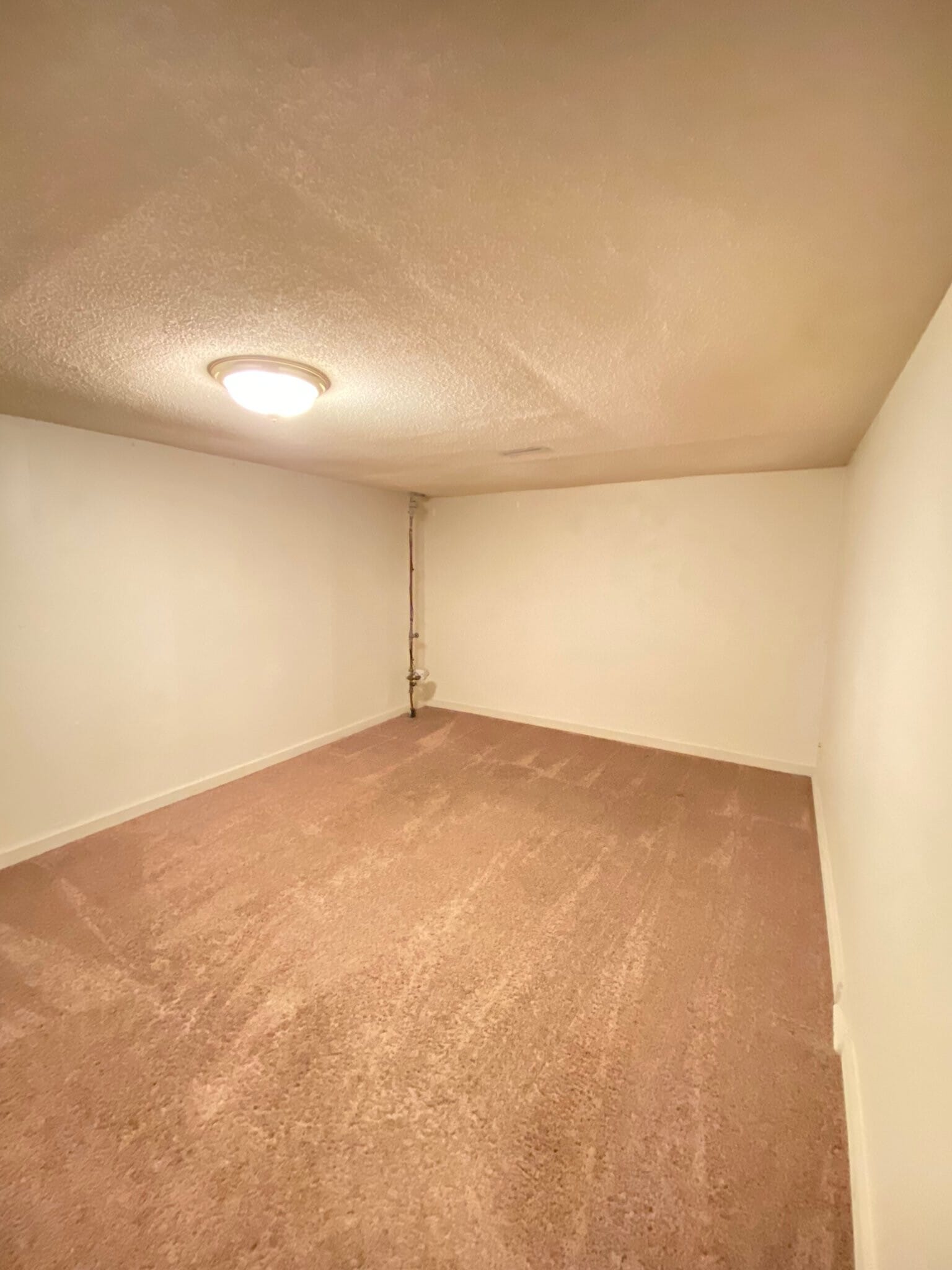 Building Photo - 807 Elm Creek Cir