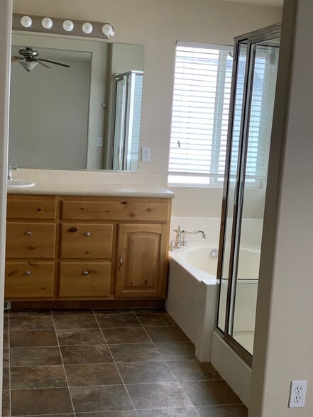 master bath - 466 E Apple Grove Ln