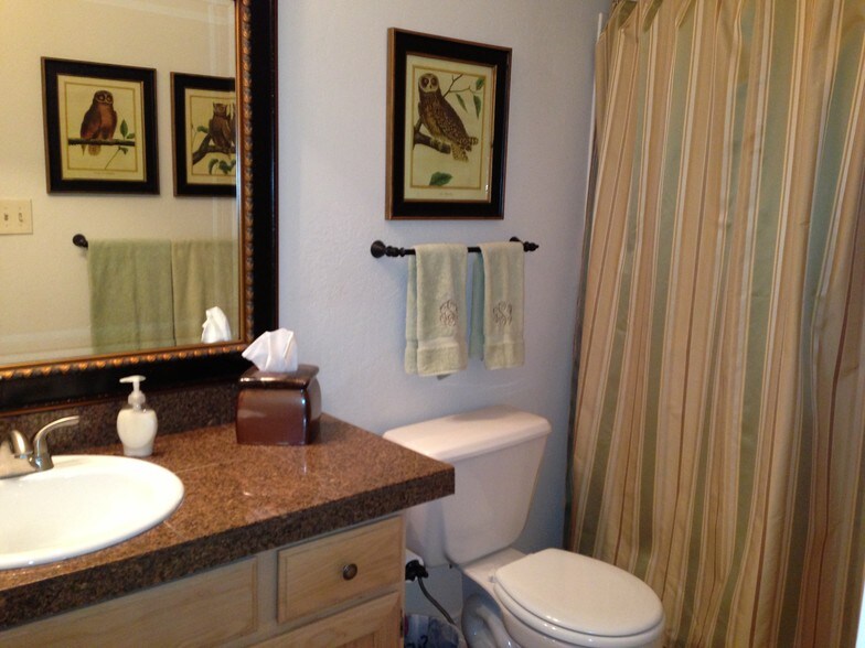 Guest Bath Room - 4190 E Village Cir