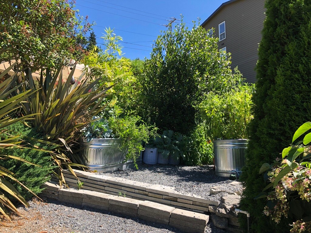 P-patch for gardening - 2801 14th Ave W
