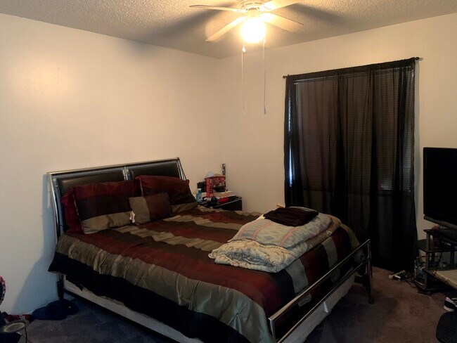 Building Photo - 4134 12th Ave S