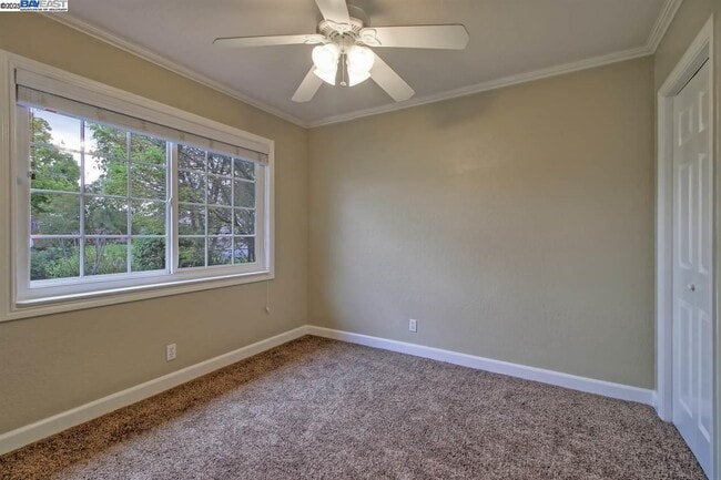 Building Photo - 623 Pineview Dr