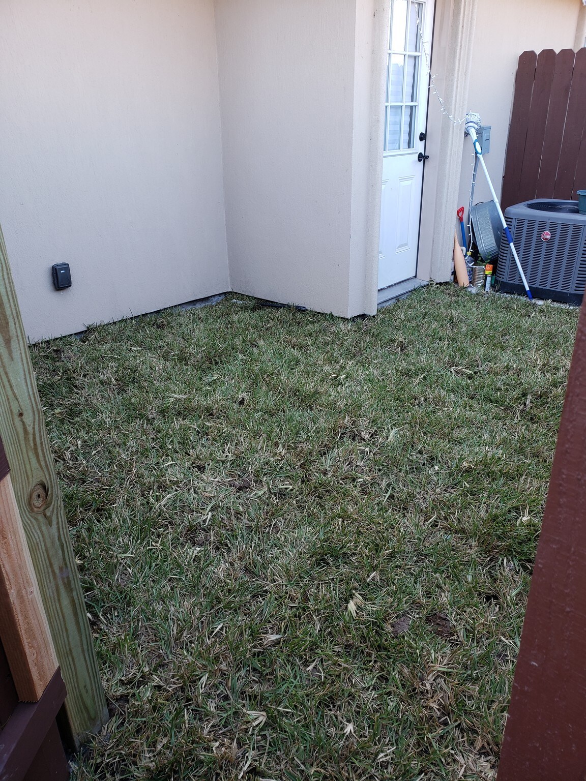 Building Photo - 2207 Taxco Ct