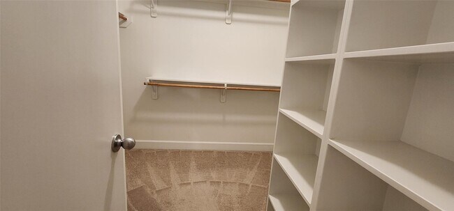 Building Photo - 11608 Main Ash Dr