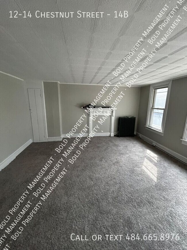 Building Photo - 12-14 Chestnut Street-14B