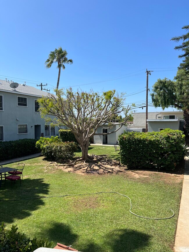 Yard and garden area - 1252 Franklin St