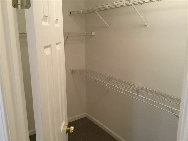 Building Photo - 570 Swan Creek Court