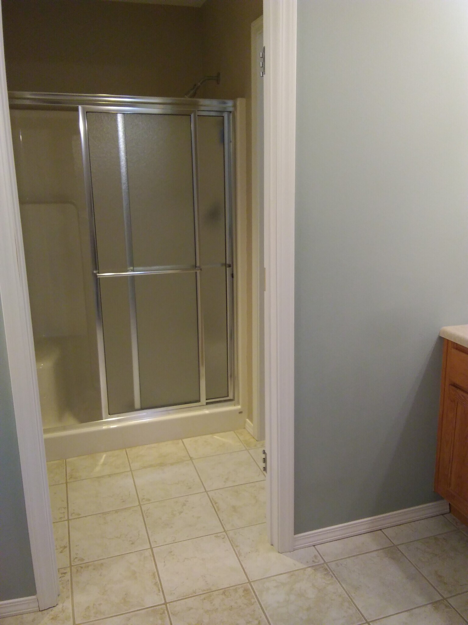 Master bath shower - 3013 N Fremont Ave