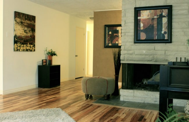 Building Photo - Mid Century Modern in Lakeshore!