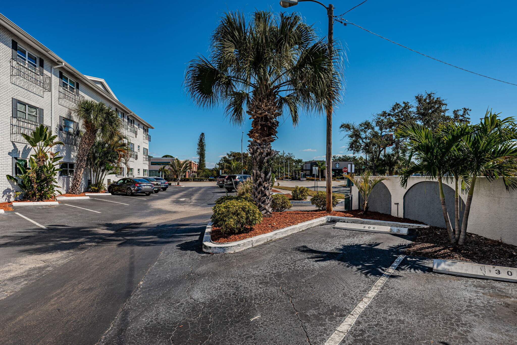 designated spot to right of the palm - 4050 4th St N