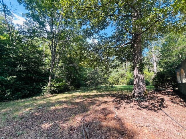Building Photo - 8+ PRIVATE ACRES - KING GEORGE