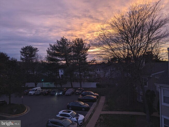 Building Photo - 14322 Climbing Rose Way