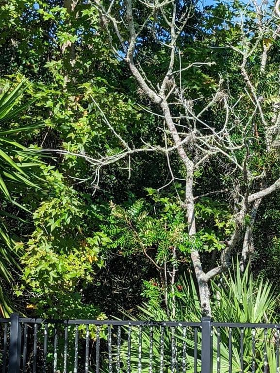 Building Photo - 2623 Redford Way