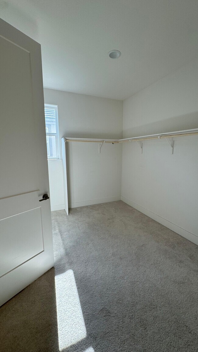 Master Bedroom Walk-In Closet - 2310 Mirth St