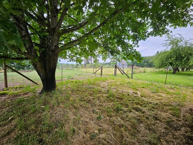 Building Photo - Charming 3BR/1BA in Eagle Creek – W/D, Yar...