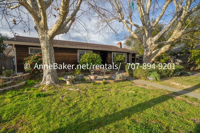 Primary Photo - Nature Abounds - Downtown Cloverdale Home