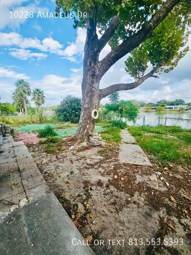 Building Photo - 10228 Amadeus Dr