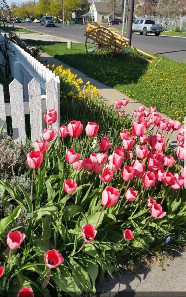 Building Photo - 181 N 200 E