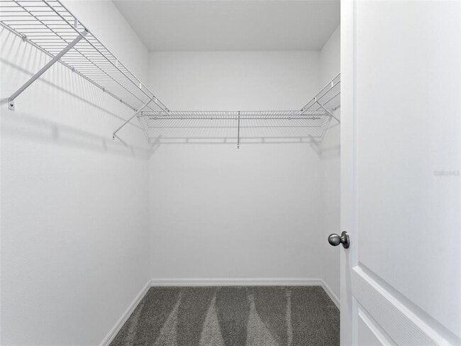 Building Photo - 32156 Pond Apple Bnd