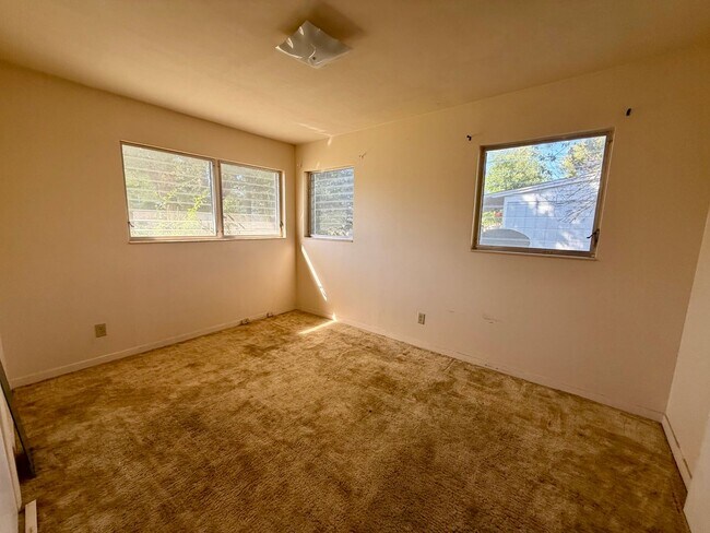 Building Photo - 3 bedroom In the Middle of Panama City