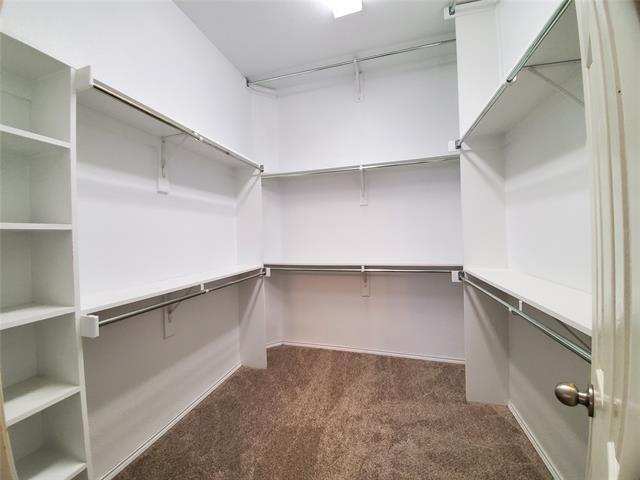 Building Photo - 4017 Chinaberry Dr