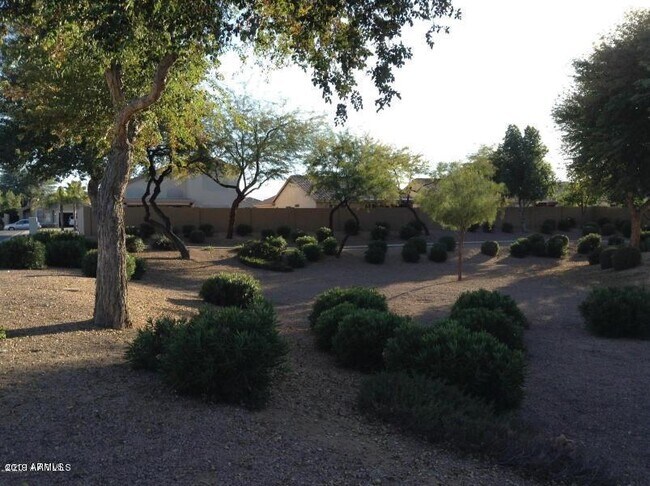 Building Photo - 1266 W Kingbird Dr