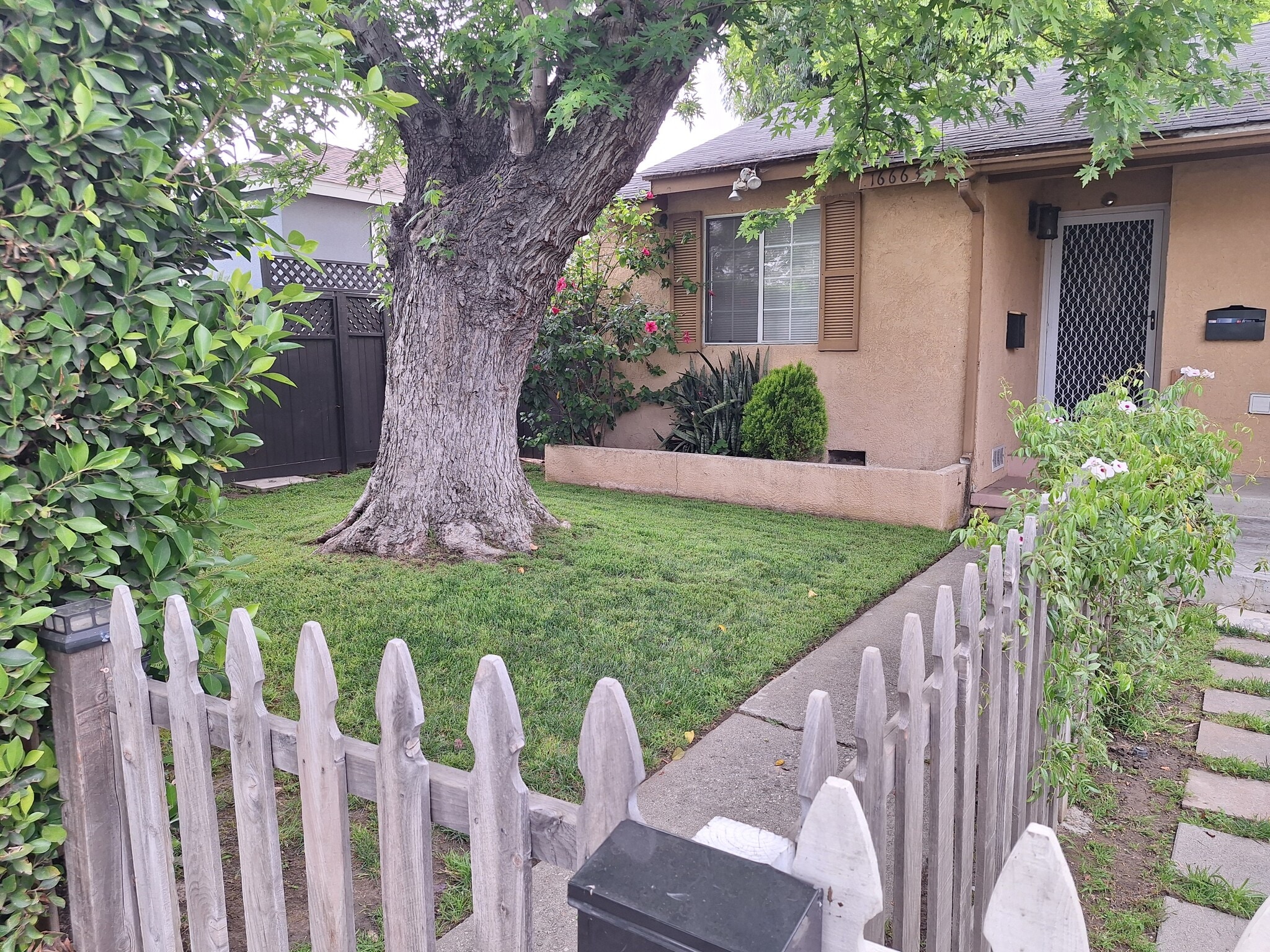 Private gated front yard with mature tree - 16663 Victory Blvd