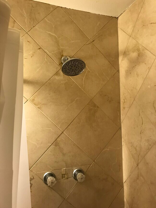 Building Photo - 4318 Glen St