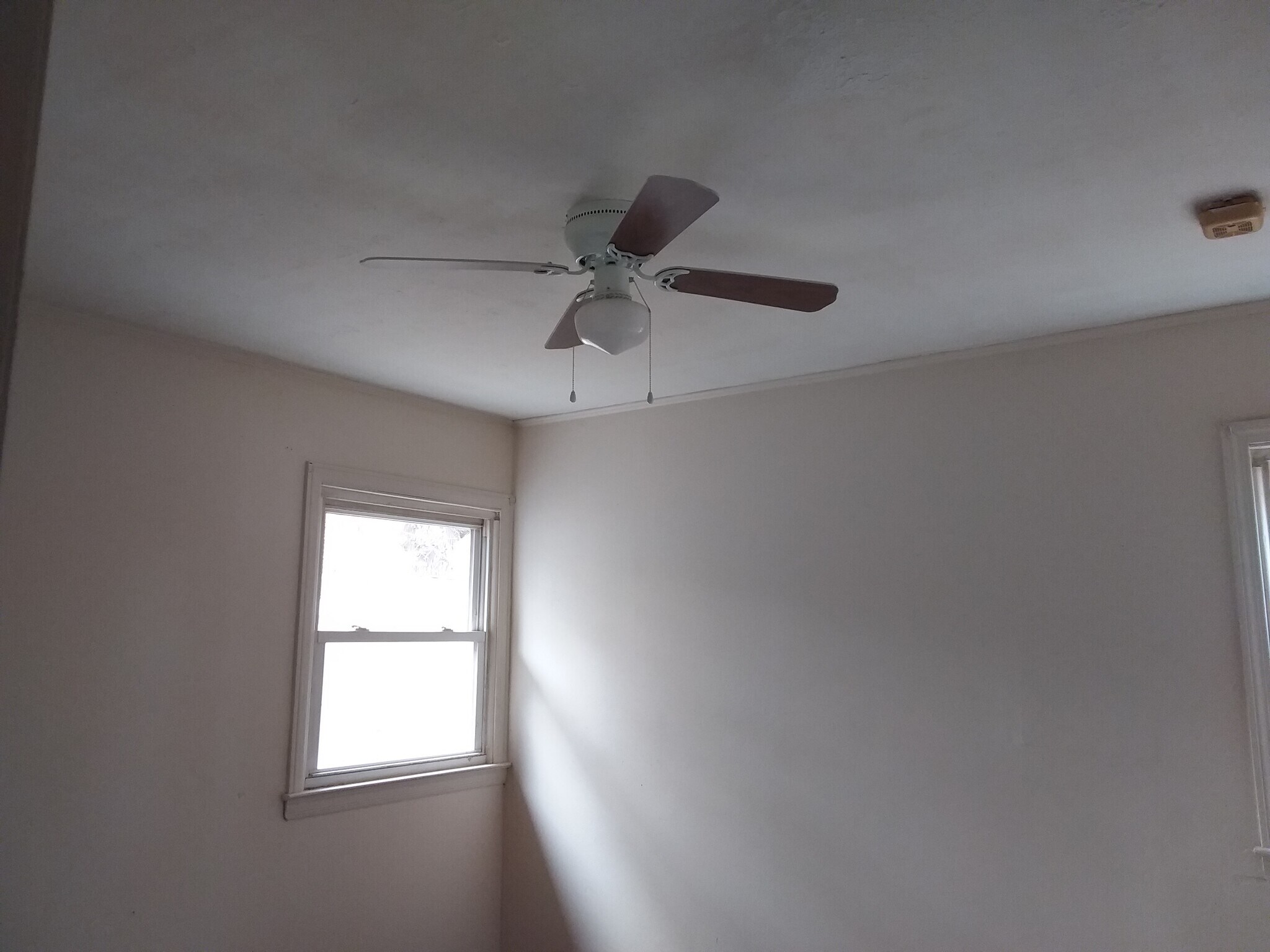 Building Photo - 58 Pennywood Ln