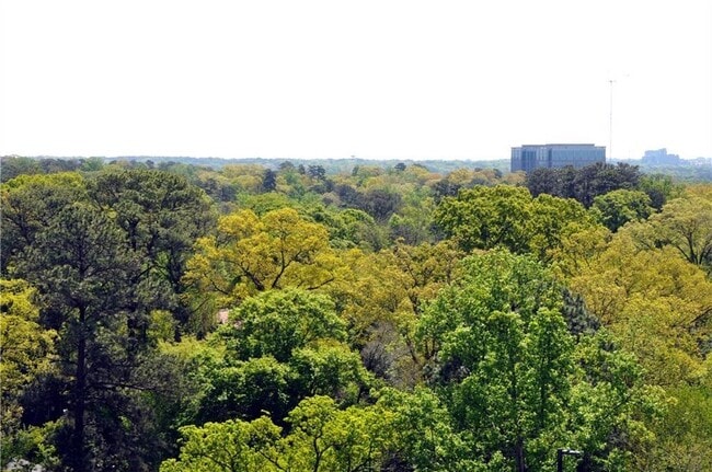 Building Photo - 2795 Peachtree Rd