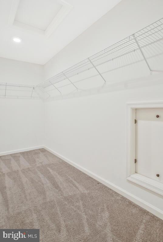 Building Photo - 2407 Terrapin Xing