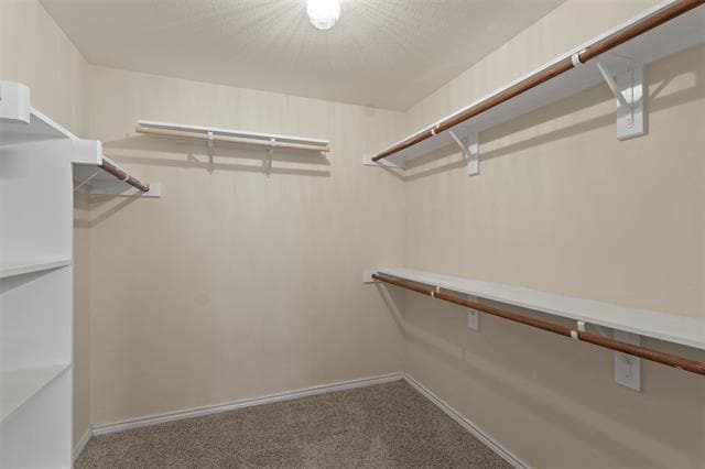 Building Photo - 812 Ferrule Dr