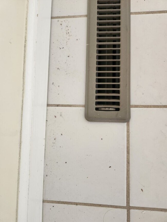 Building Photo - 413-415-415 N 6th Ave