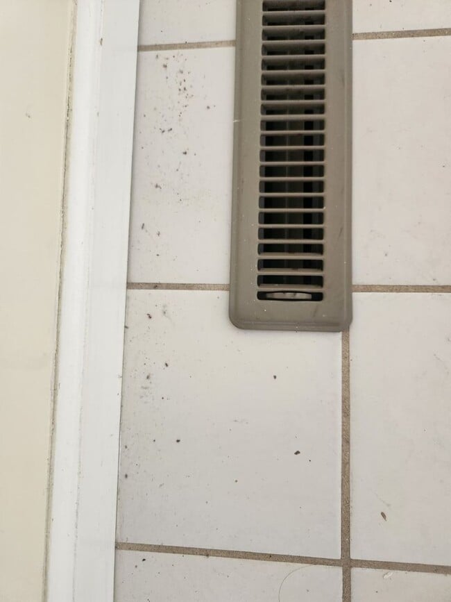 Building Photo - 413-415 N. 6th Avenue