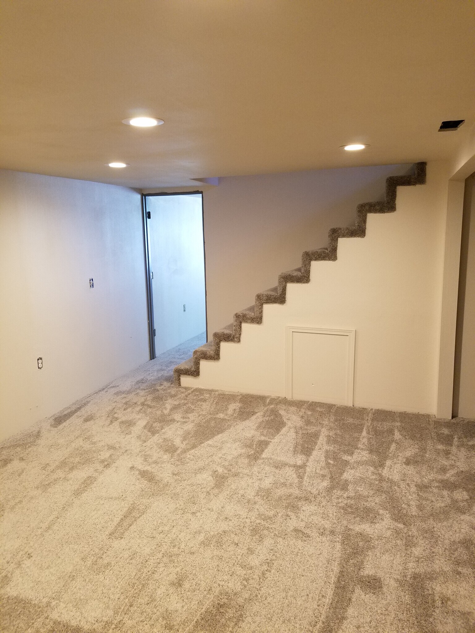 Family Room/Basement - 122 W Amherst Ct