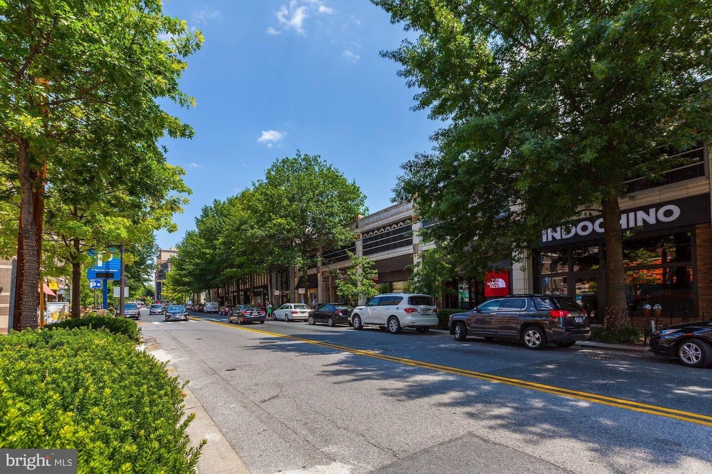 Building Photo - 4242 East West Hwy