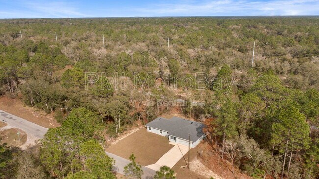 Building Photo - 9461 N Sandree Dr