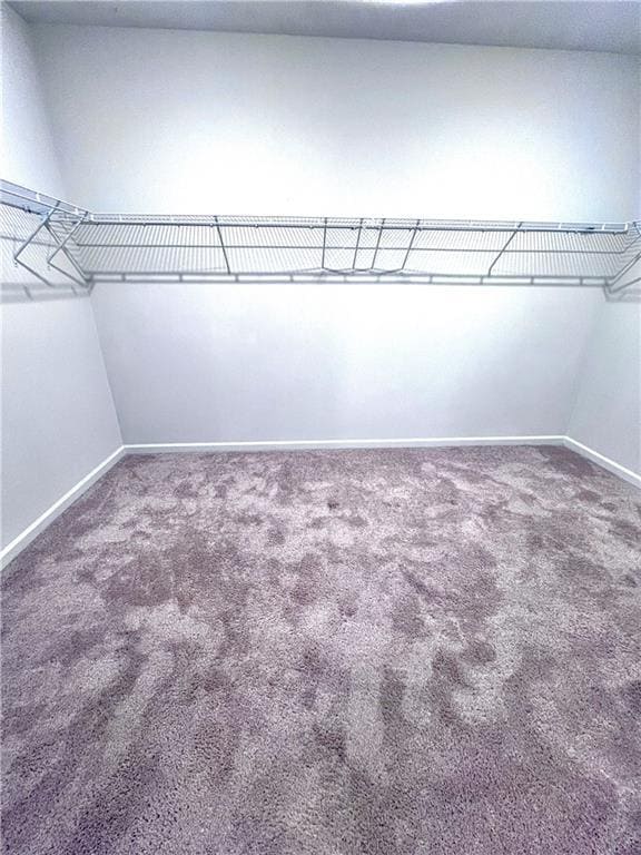 Building Photo - 2464 Pinnae Pl