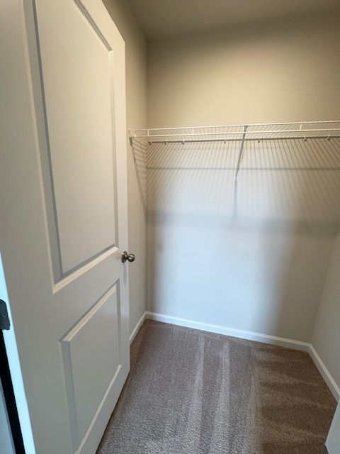 Building Photo - 488 Switchgrass Ct