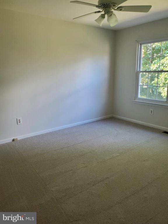 Building Photo - 261 Tulip Tree Ct