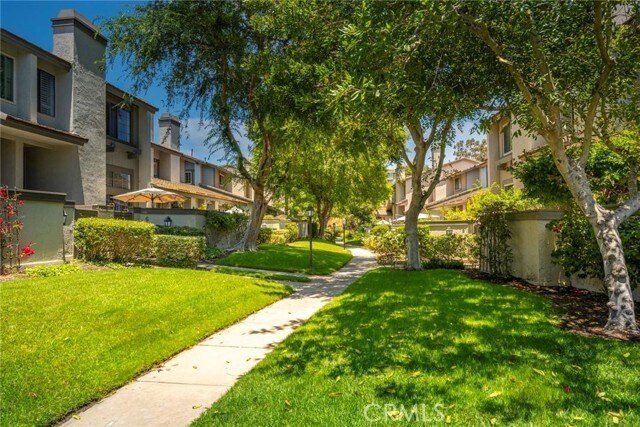 Primary Photo - 3 Morning Mist