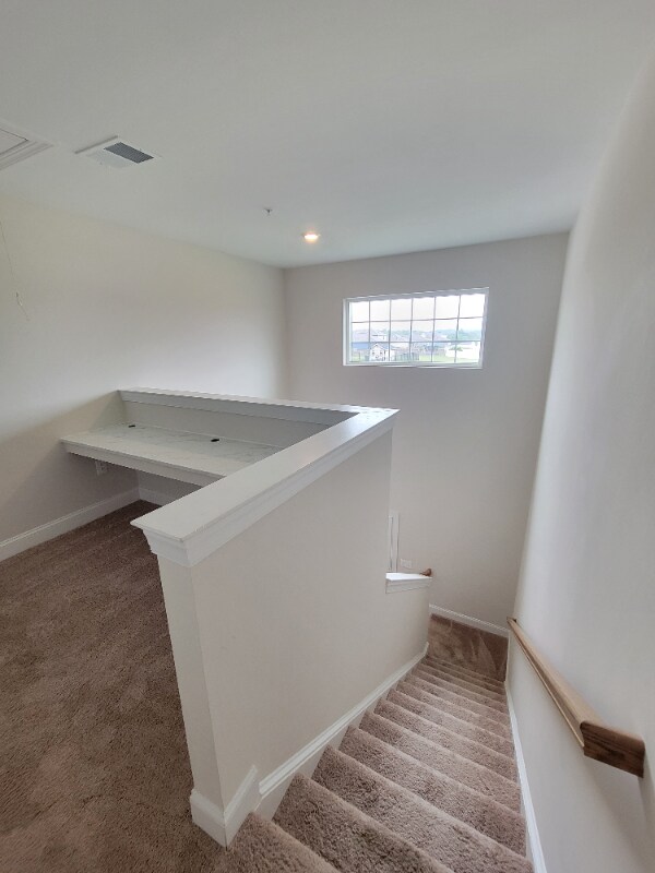 Building Photo - 10054 Roulette Dr