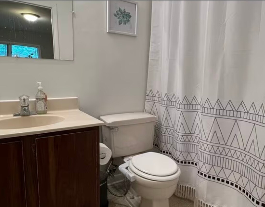 En-suite bath (this bath has remodeled, updated cabinets and is freshly painted) - 334 Shenandoah Cir