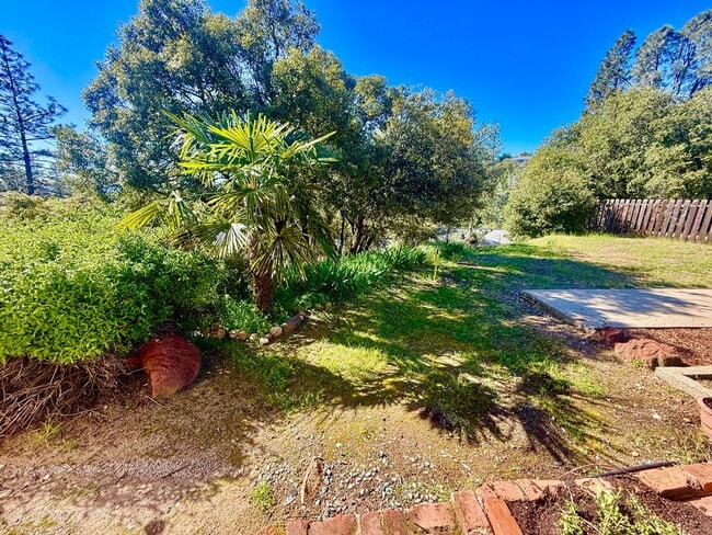 Building Photo - 240 Scholtz Ave