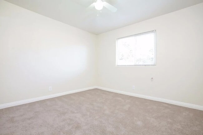 Building Photo - 363 Bard St