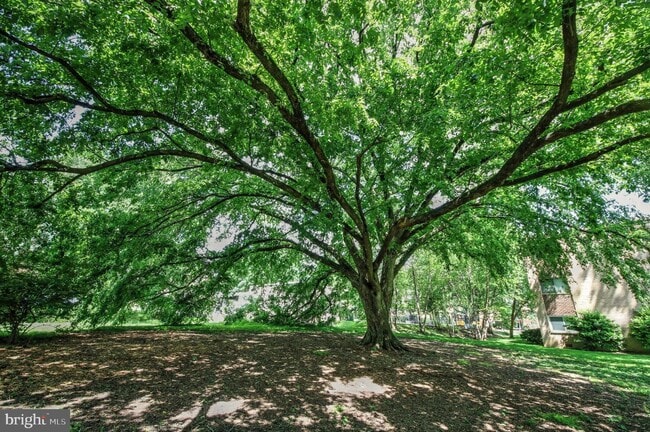 Building Photo - 2904 Kings Chapel Rd