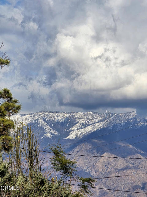 Building Photo - 109 Waverly Dr