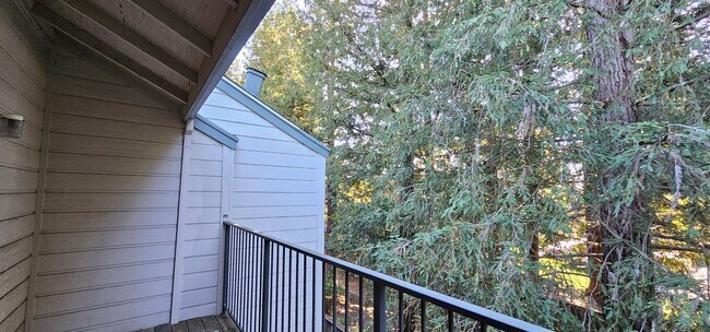 Building Photo - **Centrally Located in Santa Rosa!!**